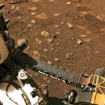 NASA capta un oso en Marte