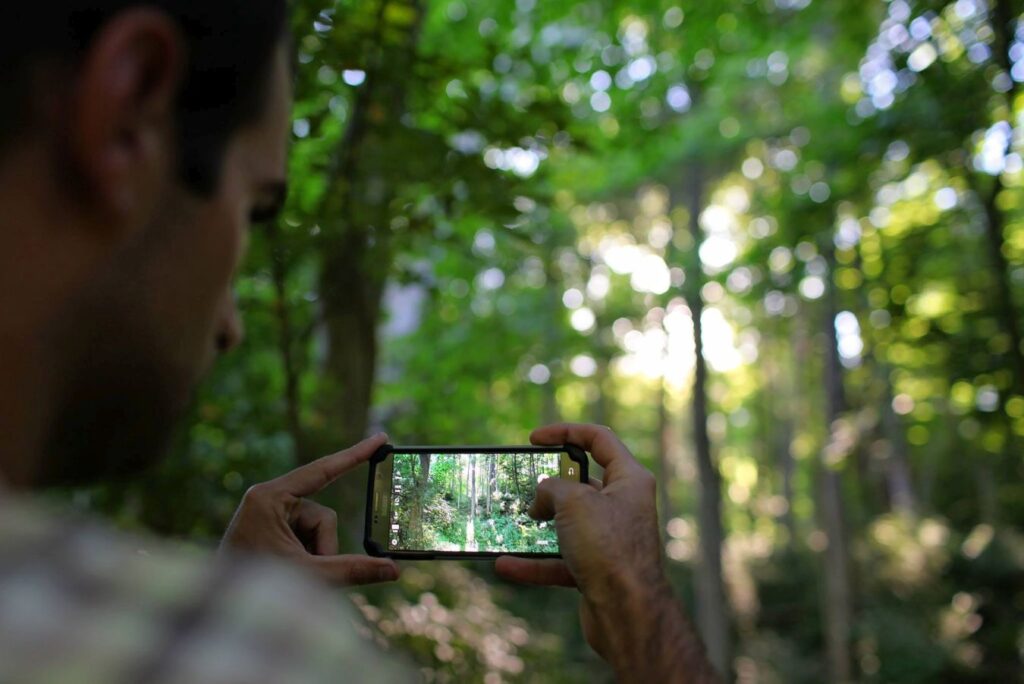 Día Mundial del Medio Ambiente