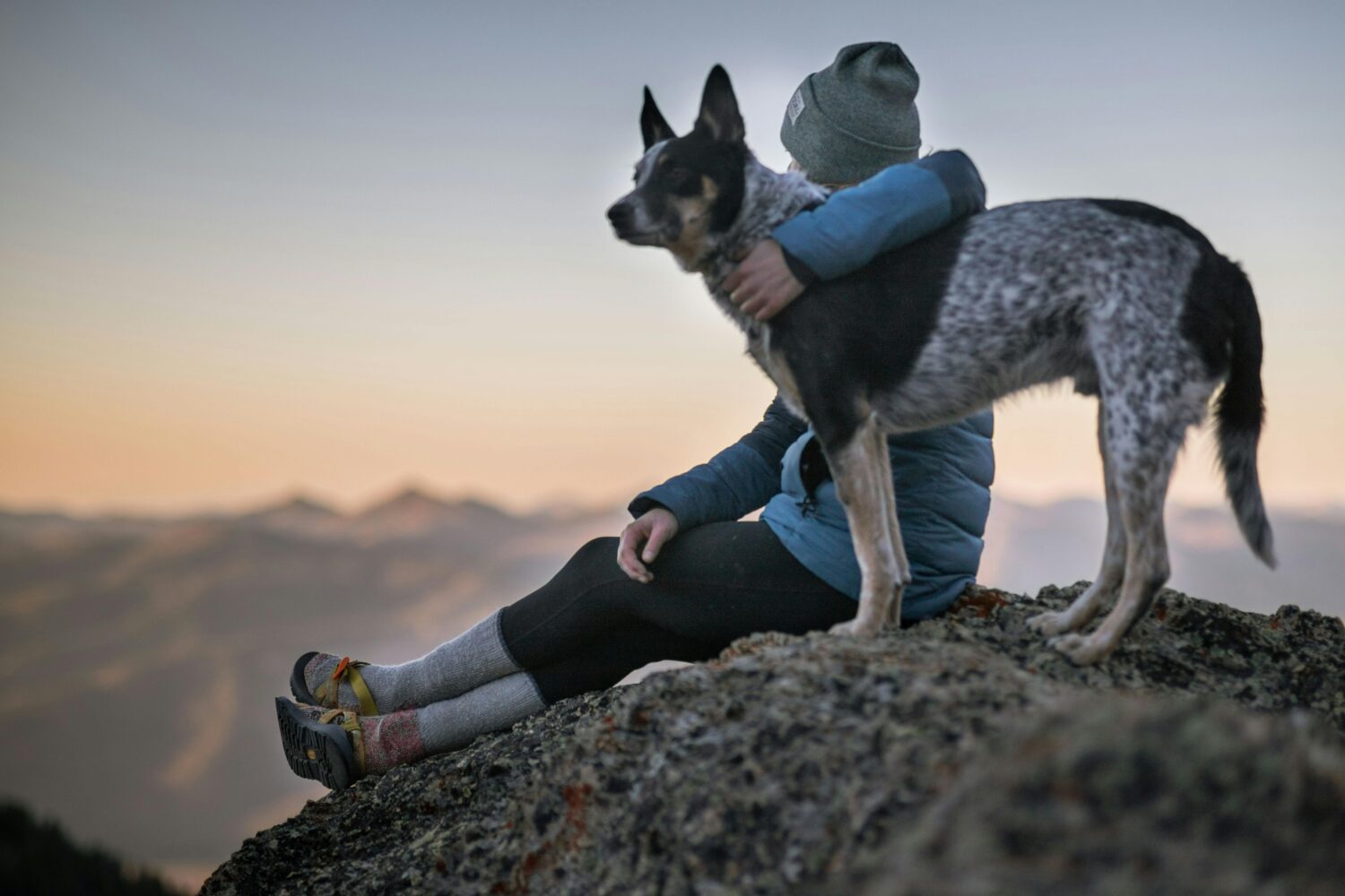 Crecen los servicios funerarios para mascotas