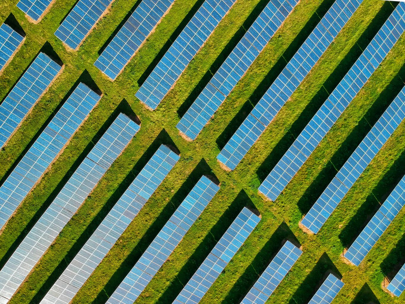 UVM y su aportacion a las energias limpias