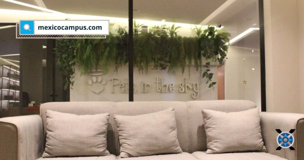 Enero también recuerda: memoria, duelo y gratitud hacia las mascotas que partieron