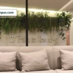 ¿Cómo iniciar el año honrando a las mascotas que ya no están?