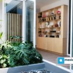 Despedir a nuestras mascotas también es amarlas