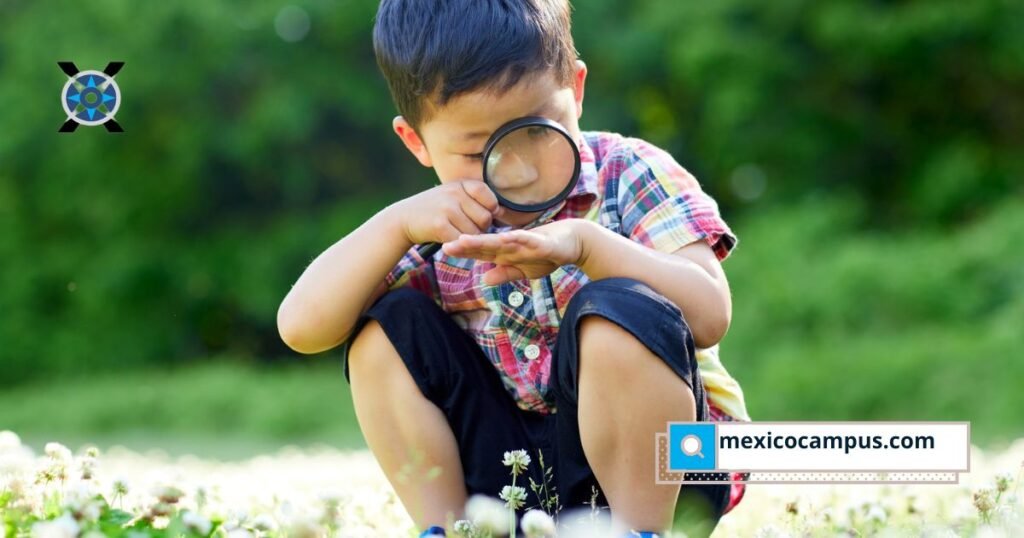 Las habilidades socioemocionales en la infancia son clave para el aprendizaje, la salud mental y el éxito futuro. Expertos de Lexium destacan su impacto en México.