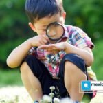 ¿Por qué las habilidades socioemocionales definen el futuro desde la infancia?