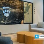 Mascotas y salud mental  un vínculo que transforma