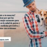 ¿Conoces realmente a tu mascota? Las vacaciones pueden revelar mucho sobre su salud