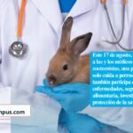 Todo lo que hace un médico veterinario y quizá no sabías