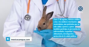 Una parte fundamental de la medicina veterinaria ocurre precisamente antes de que aparezca un problema